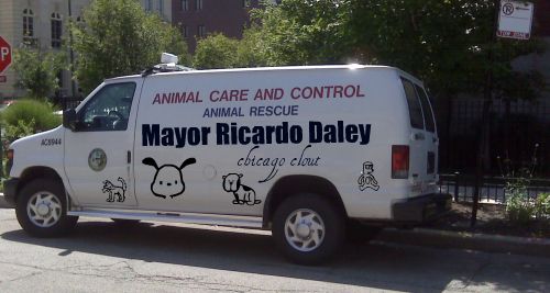 Chicago animal care and control 1.jpg